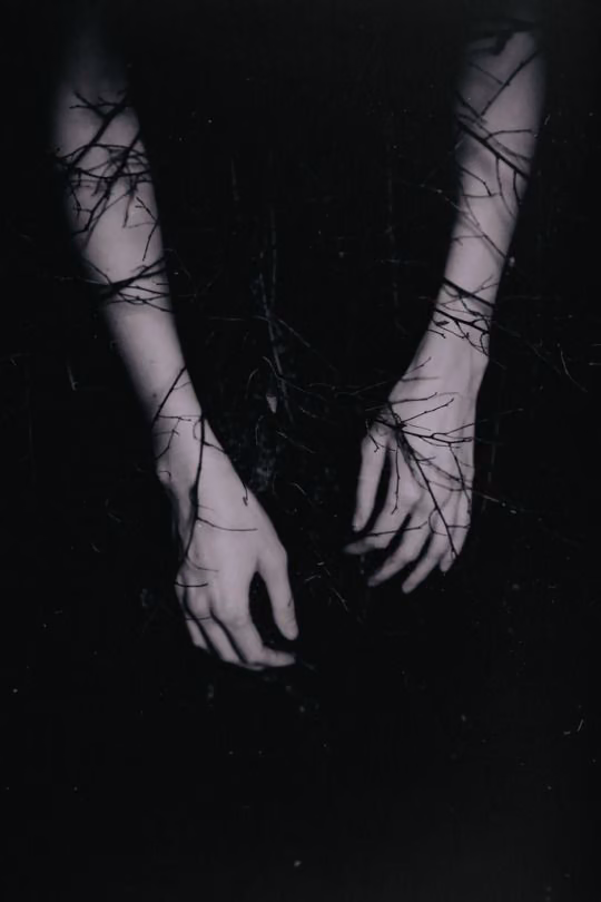 2d3d5c5267befff20ecc99ddc2d26f1f.jpg