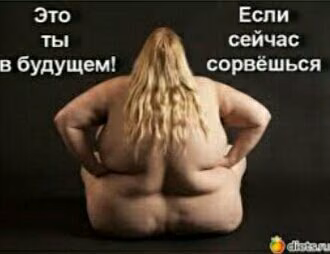 2d535550d98d9f4f5ee468baeaa96e3b.avif