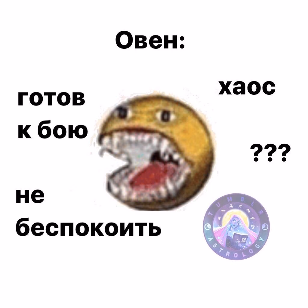 2d5c9733a7e18e2da13fd56f99a2c602.avif