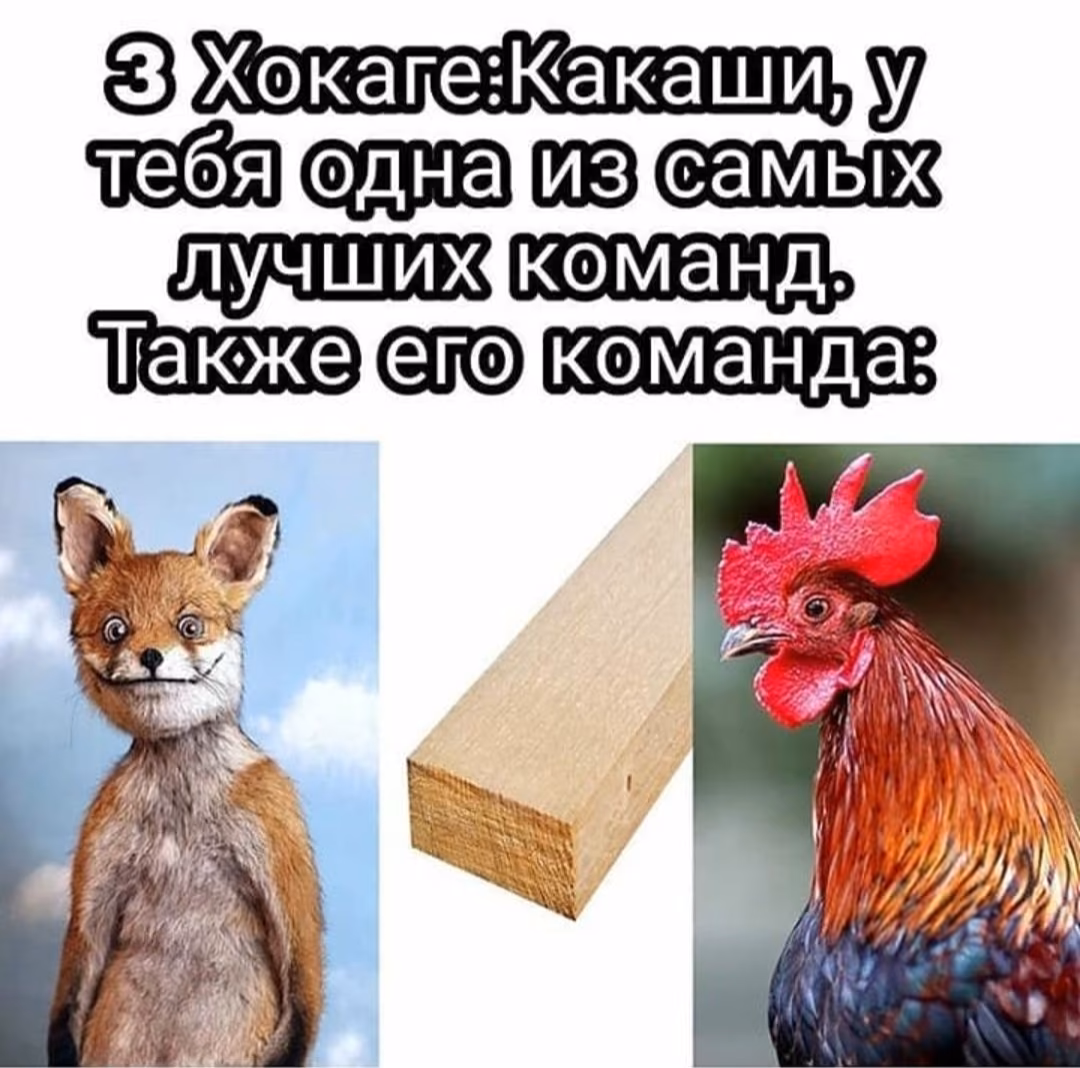 2d5f6383e2489be4d0ef4475d4b58622.jpg