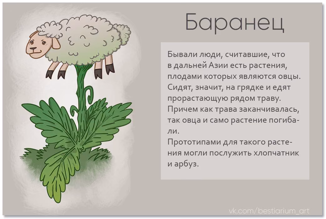 2d68b49d0cddc64df4b6f14f202d1d57.avif