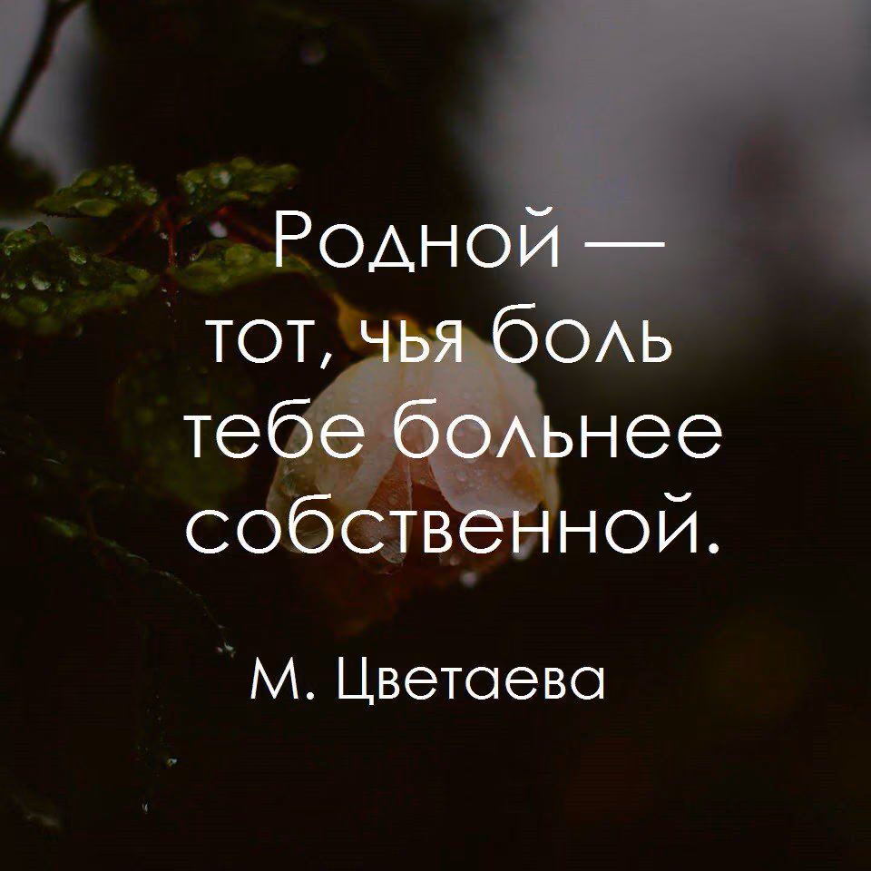 2d7580488883814c12a3821f4fe23e11.jpg