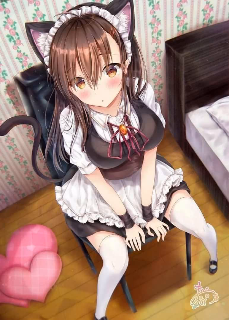 2d84ca0d8a5daf9a9b1b93e49d7cf478.jpg