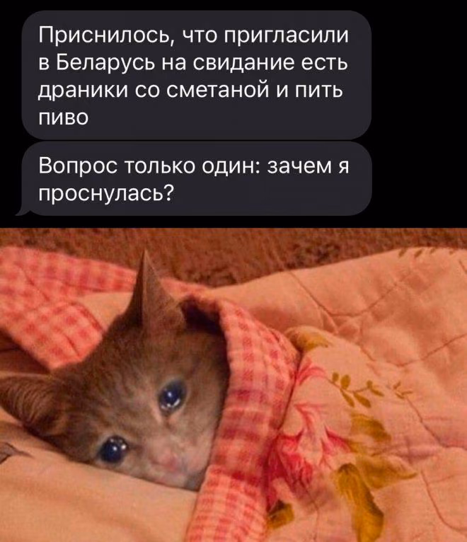 2d9f07640c5c0b2a7732e2085bfe7ccf.jpg