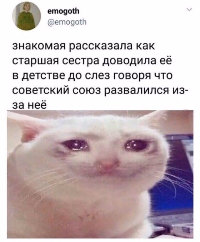 2da004958338f766b13eec9c77078aa5.jpg