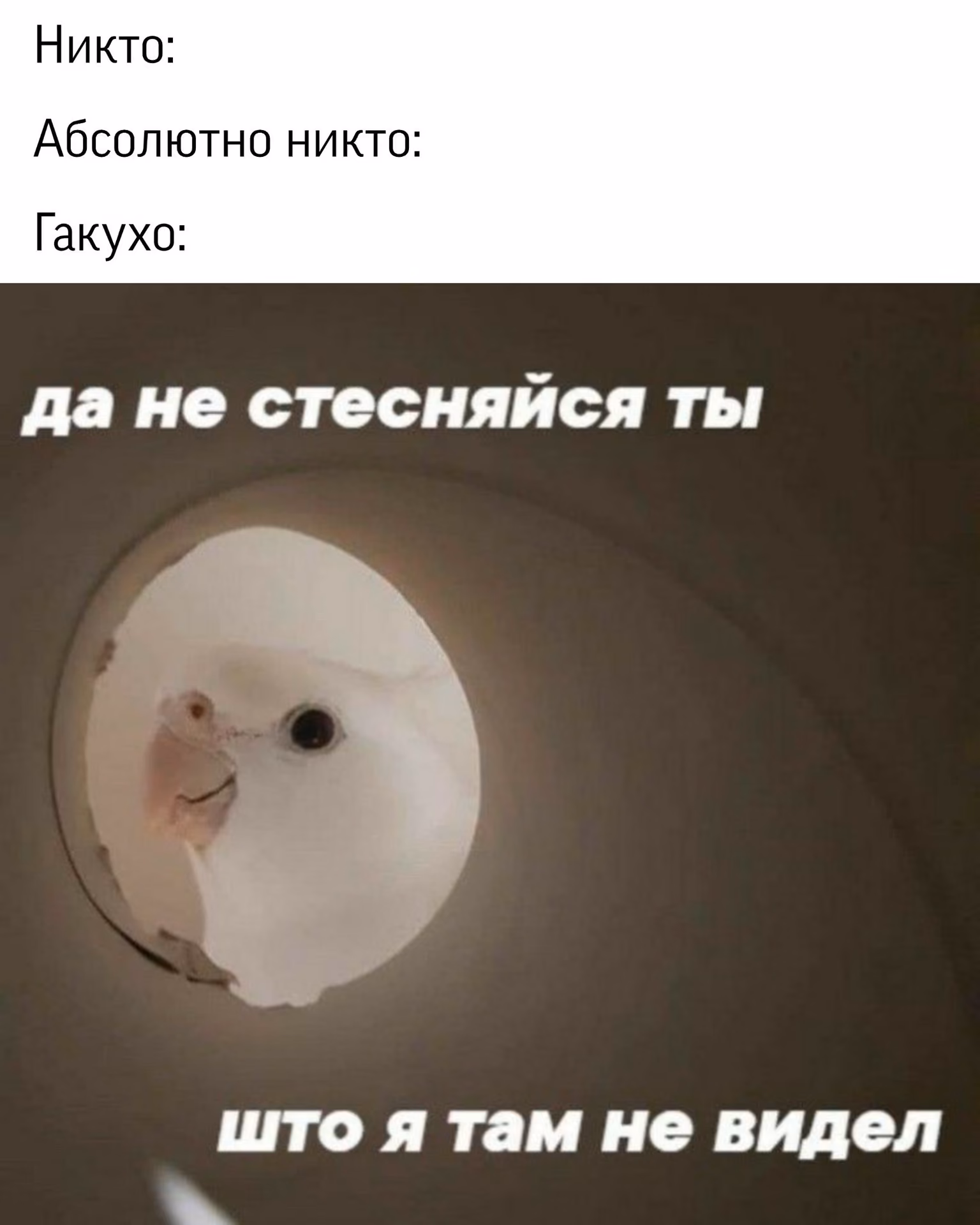 2da65fd36d6e940be5ae4a551d0adcd9.avif