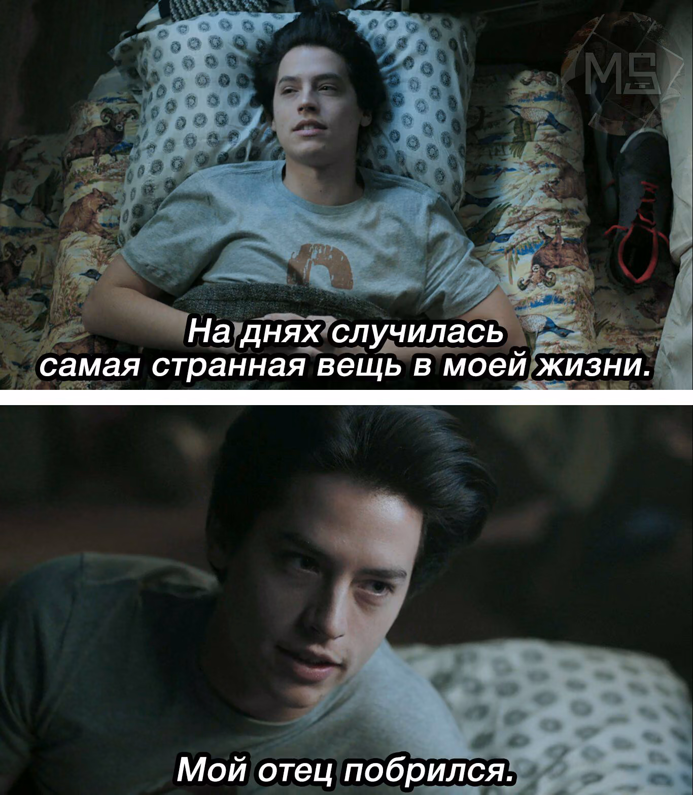 2dbd547e2c8f18555bdcb4bfe274274d.avif