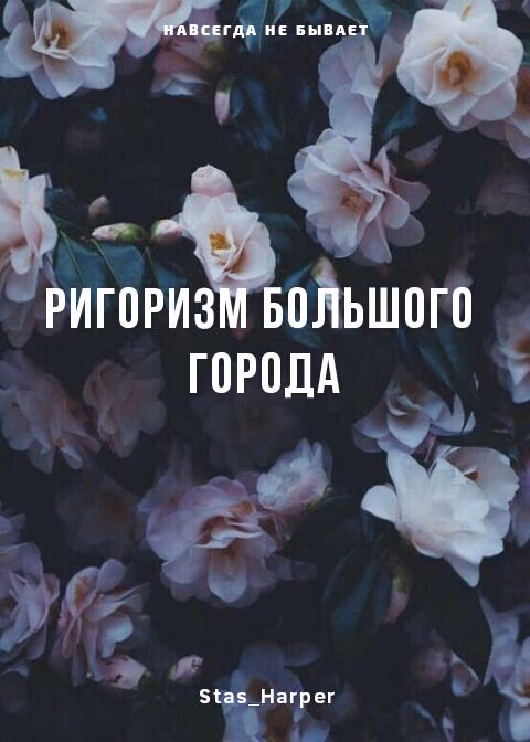 2dce5ac0faeb8102380e95ed81a04daf.jpg