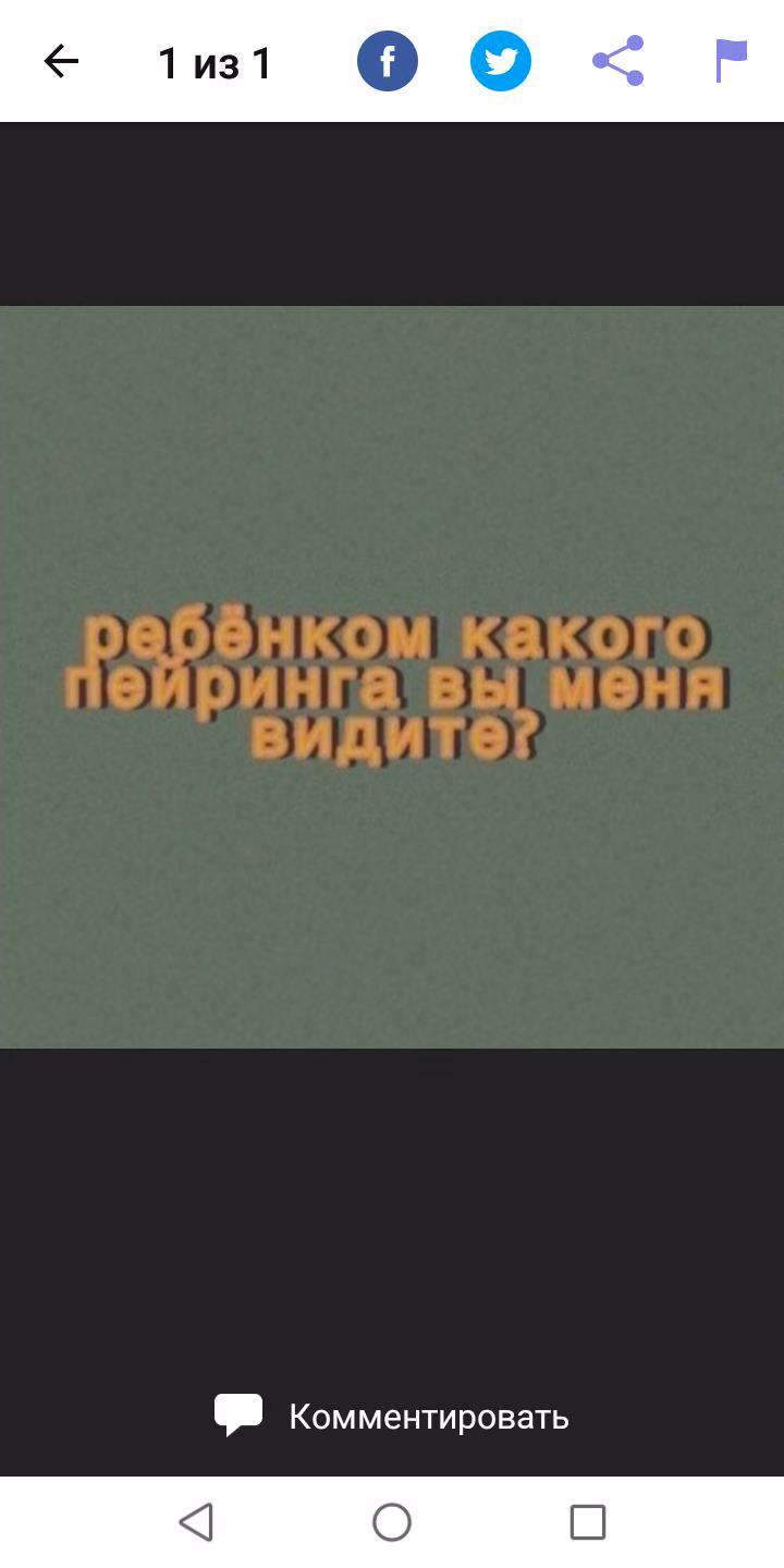 2dd15996c3681e0b58a9ced8d73bb6b4.jpg