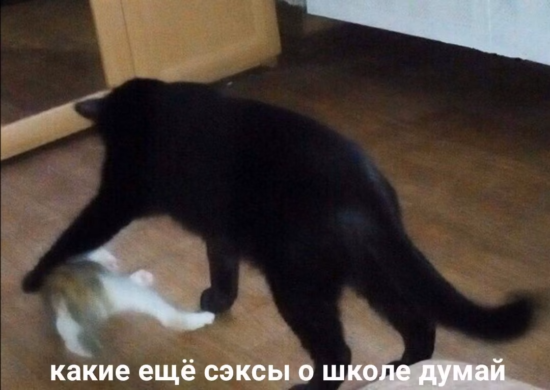 2dd64ec2c12f09a474c2ff6c42604a10.jpg