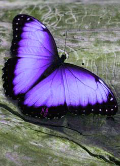 2dda8d880d9ef564580f0d49b1c2494a.avif