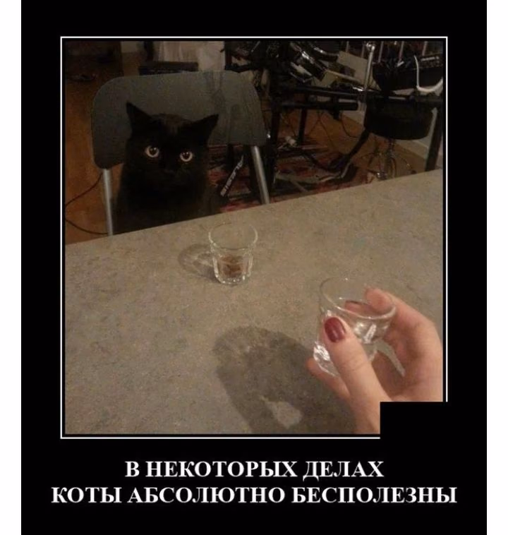 2ddda73d379ad0dfb5d792746e2d34ff.jpg