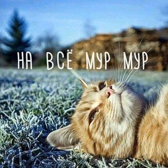 2df2516c260cf0708bc6063bad09609c.jpg