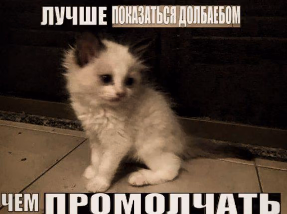 2df8dca99c7d429ffa6836f90c2f9af9.jpg