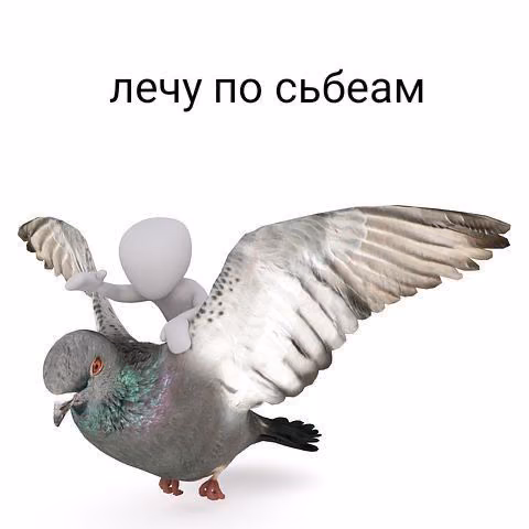 2dfe05d25114bc1ef0869a5f490689b4.jpg