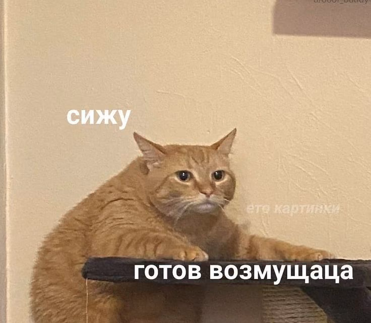 2e1c78782d7ec63d0236058753c6877e.avif