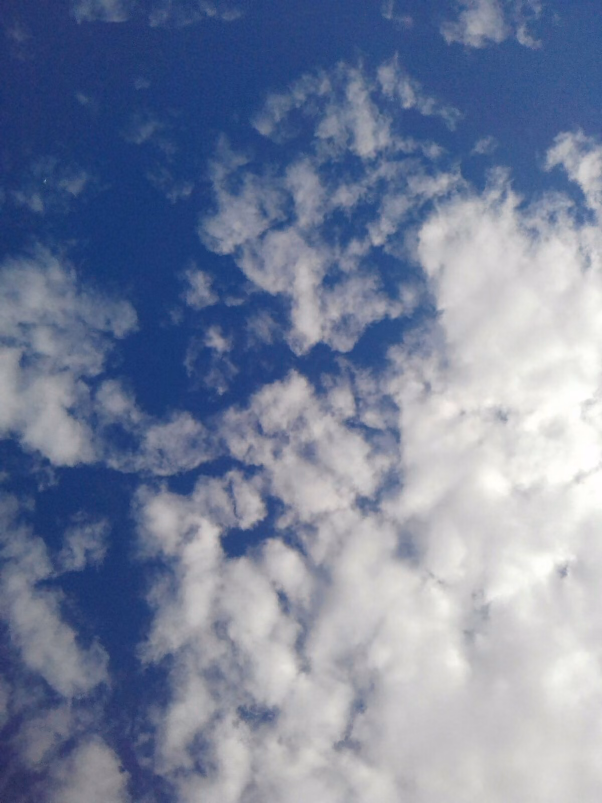 2e241db41de42862076ba086a6fb20fe.jpg