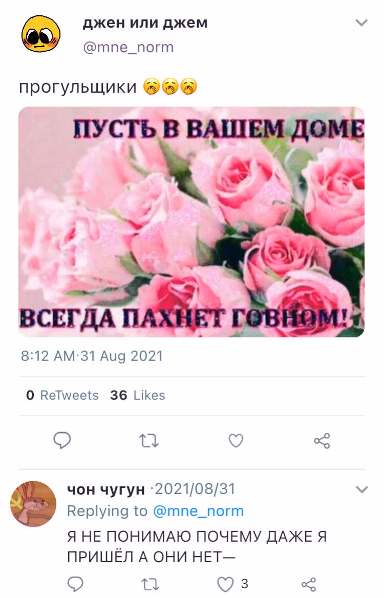2e246d7d2e316e4049d62ae2e5d19431.avif