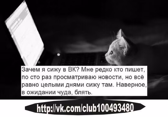 2e2d76d35ae122738faad6ca41db97c7.avif