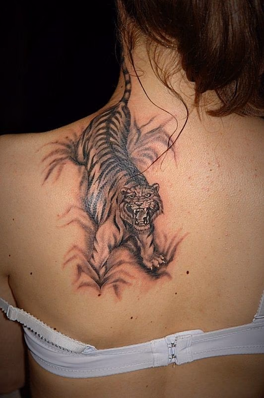 2e2f9a0bcb4f9a632aed0a65cef349a3.jpg