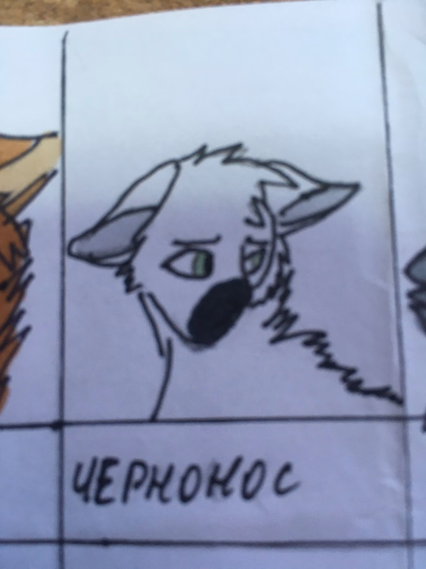 2e32ab9582bde6431550e38ad0c1ff65.avif