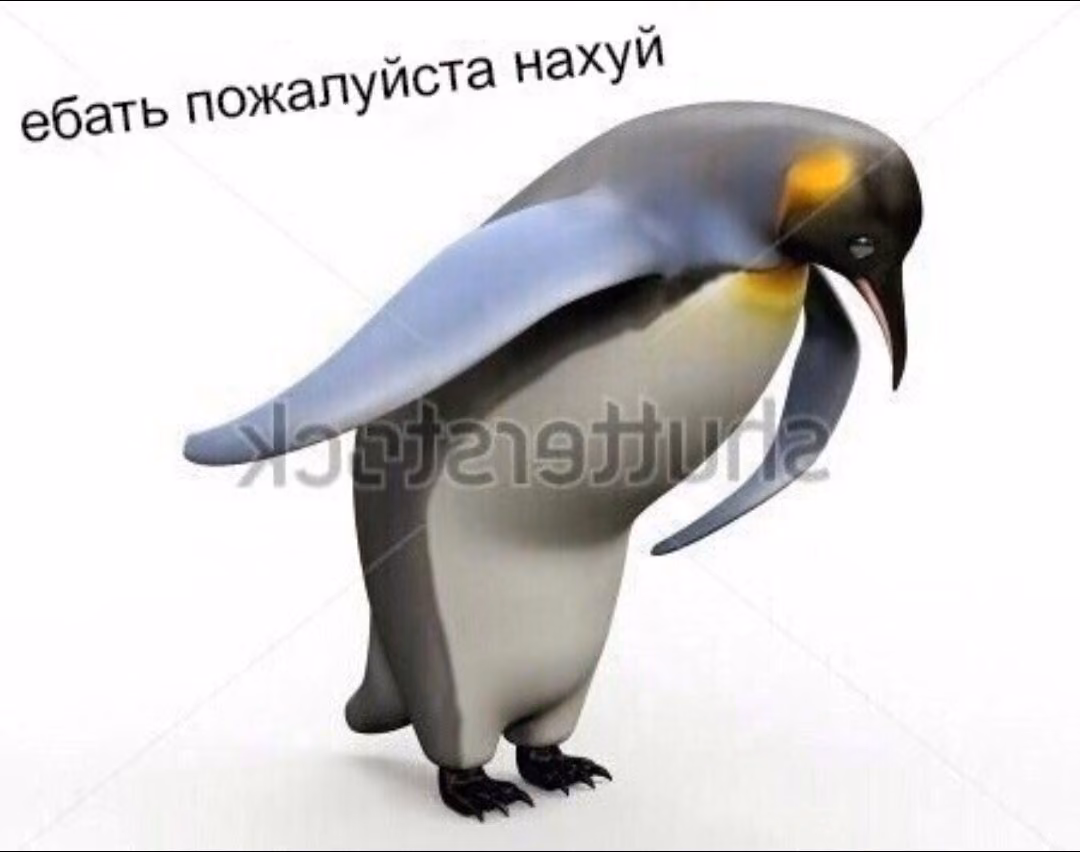 2e454ea138d49e509fdcb0428073705f.jpg