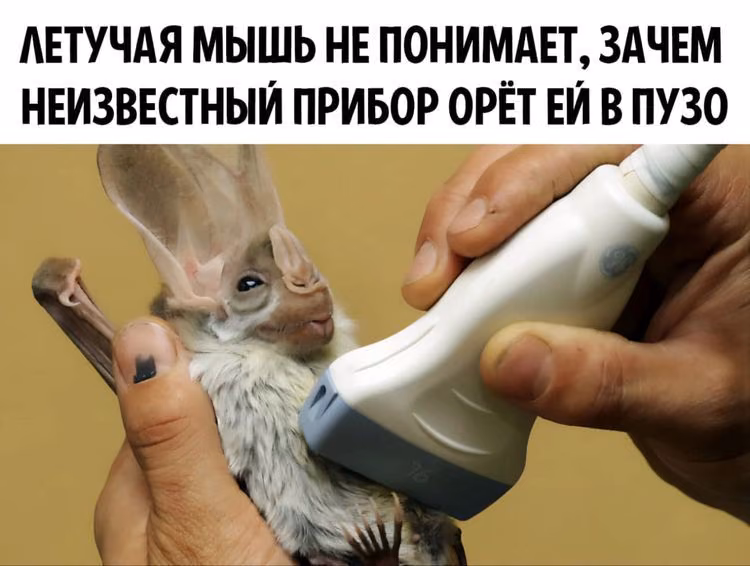 2e5d2a51925e8204264b0b08c7089021.jpg