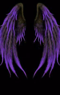 2e6e5d73f60866f373e3f9c80fa76359.avif
