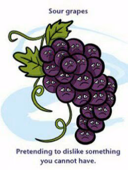2e6f1e0e2cd7e5cbc494177261e9f7e9.jpg