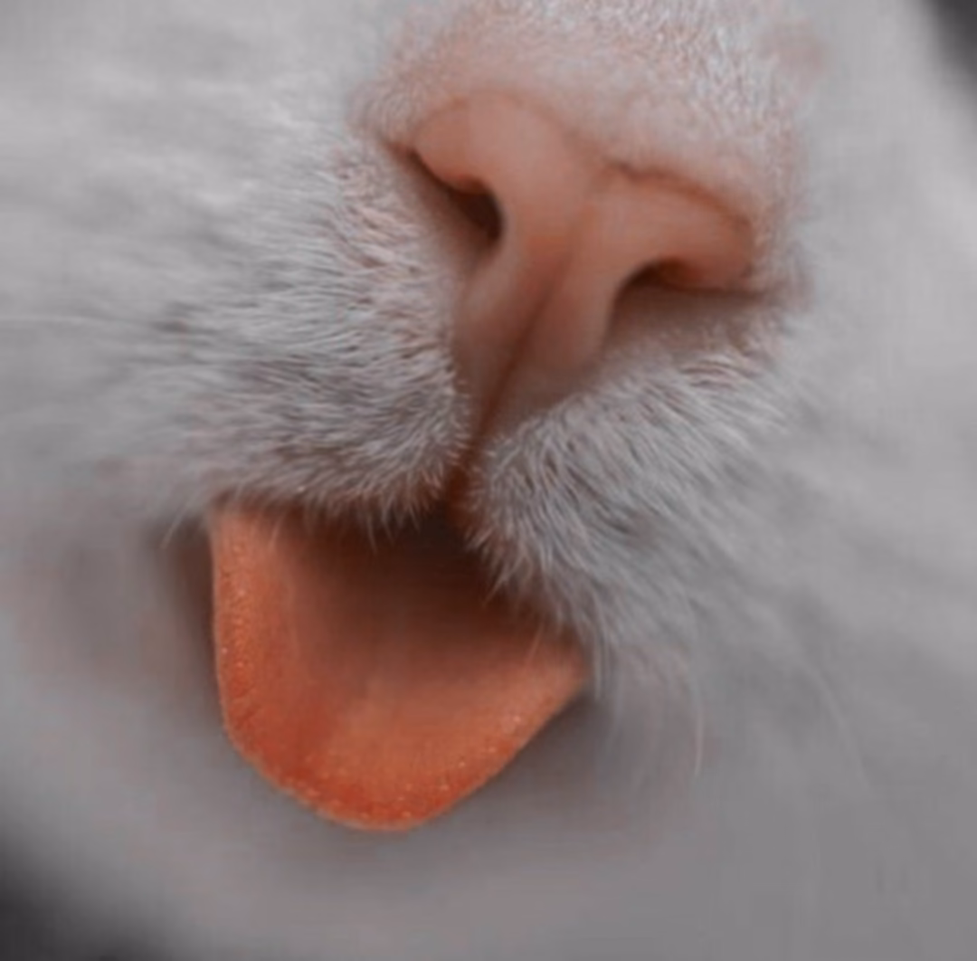 2e6f8e78f90d8b1825c0175282ebd9af.jpg