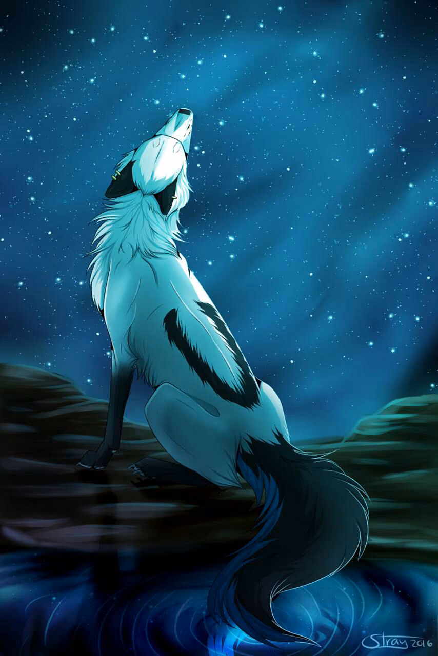 2e74d31766757735e2ca2f38dd9f9cd0.avif