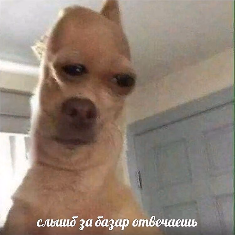 2e8beea6274aa77647f1731d4e1db5e9.jpg