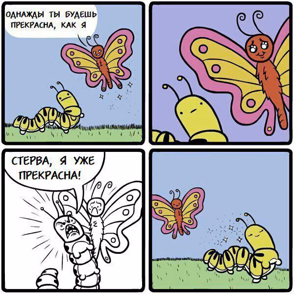 2e9b28171a9f80c472e5640894e97e6f.avif