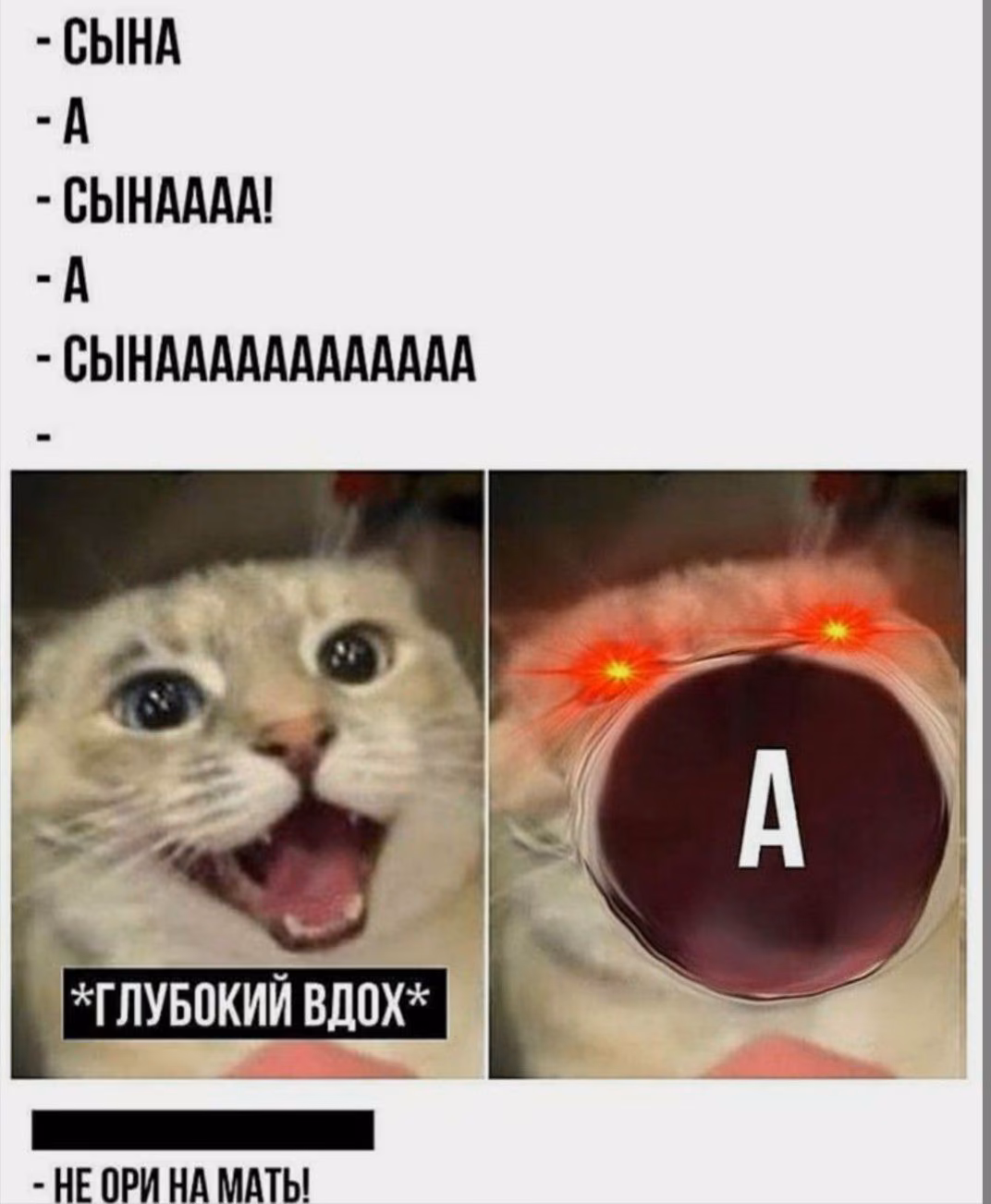 2e9bec40d827dd662ddee7cd3ca367c3.avif
