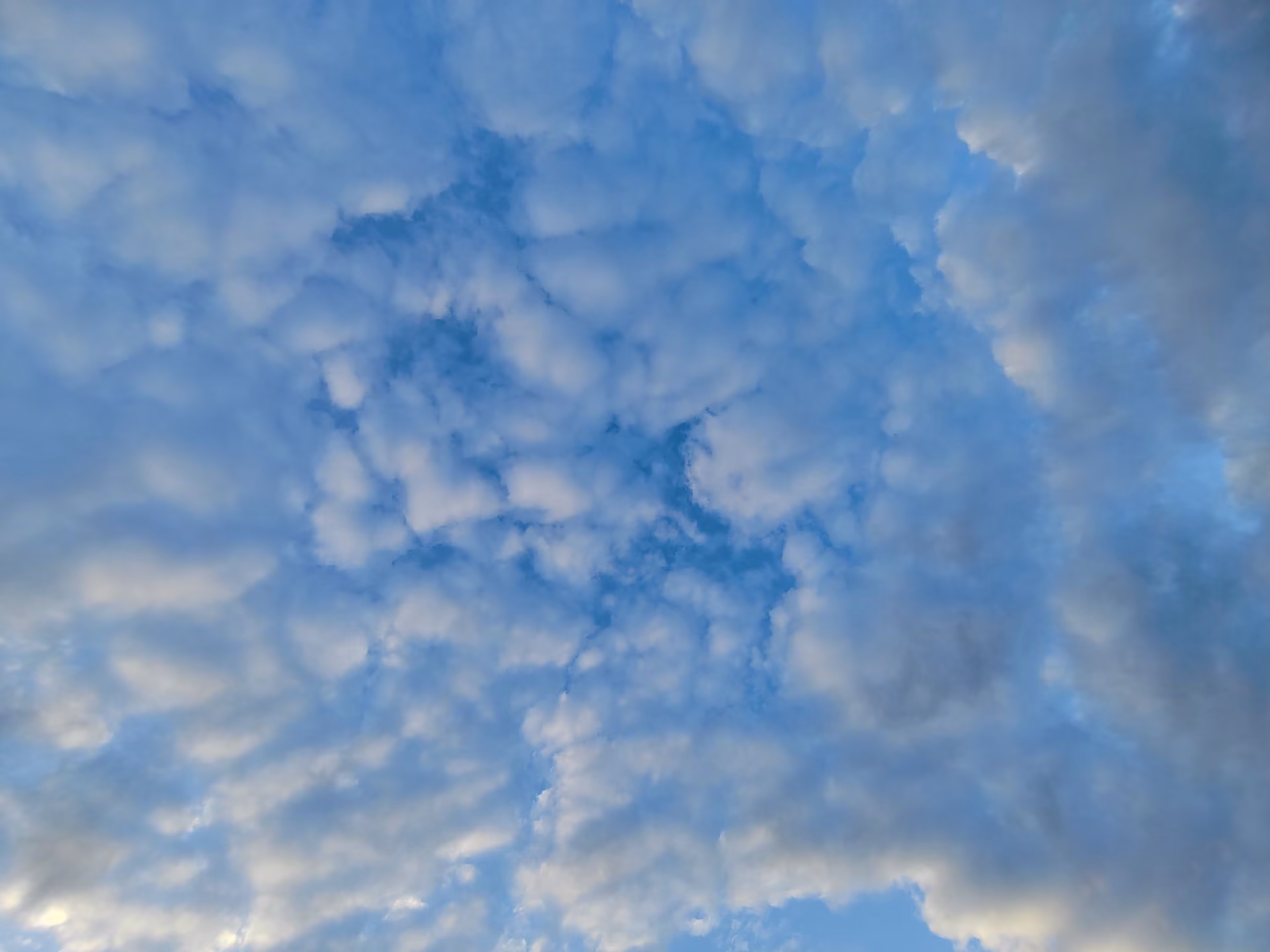 2ea9822d9d85b78c5e1ef5e1d5b281ff.jpg