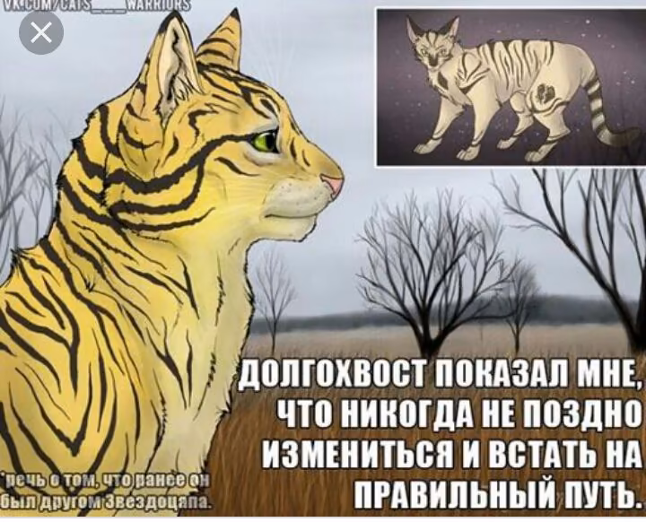 2ea9aa3f35dd78496d8fd690b564bb34.avif