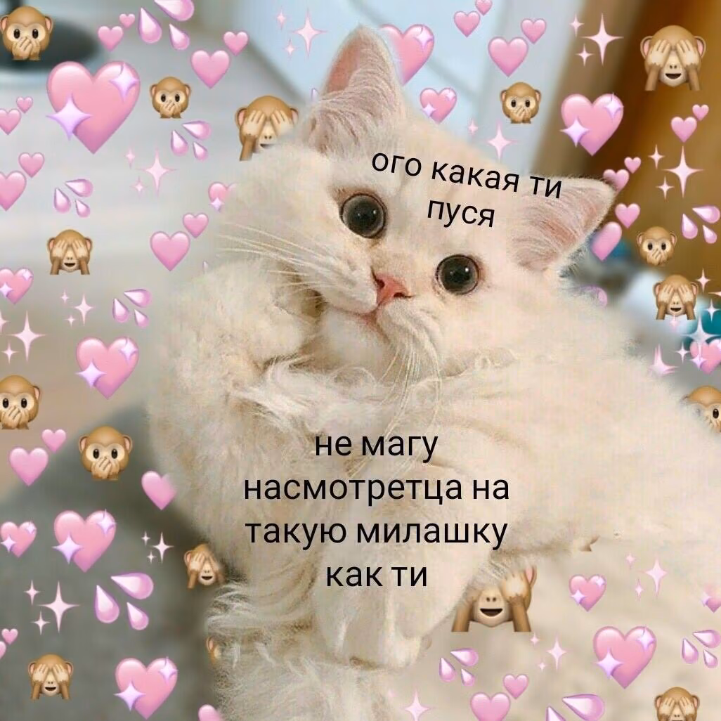 2eabe5dee3caec1be4c44ae7543b9464.avif