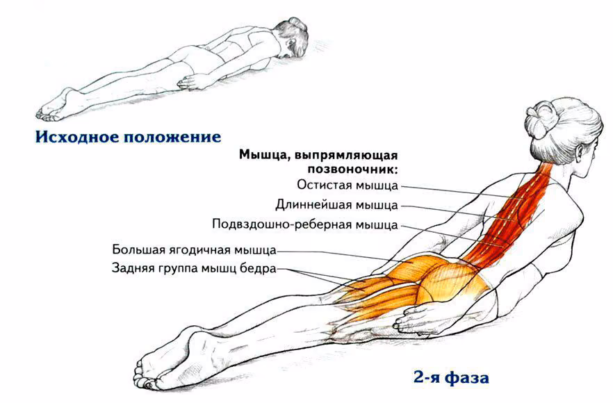 2eb3b60a3e4bc19f443e26a92e67f14a.avif