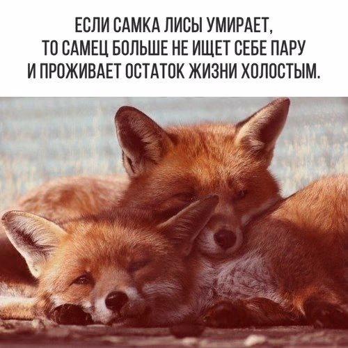 2eb9d2689694361dba90c2964c2329c3.avif