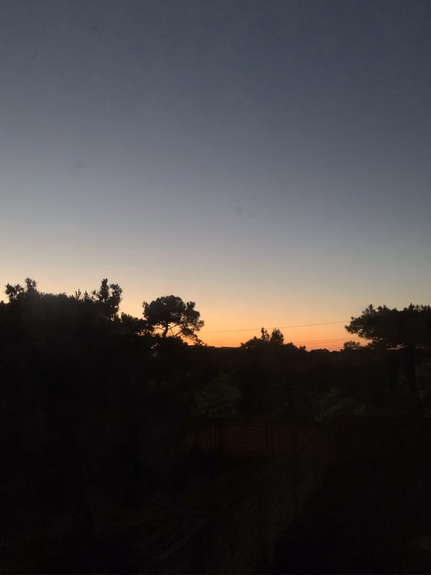 2ec0be6d18e97ca580e3233d544907f0.jpg