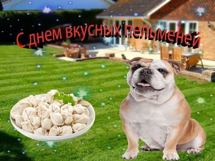 2ee7a981b419e9865f1a5ec0884c081a.jpg