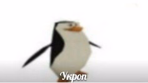2eef0a64b00b0a4d87f9e0a977751acb.jpg