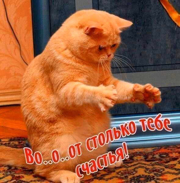 2efc049d13e698a3456417c3abde7976.avif