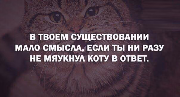 2f0039ce906de8b60fa484ddb27b8689.avif
