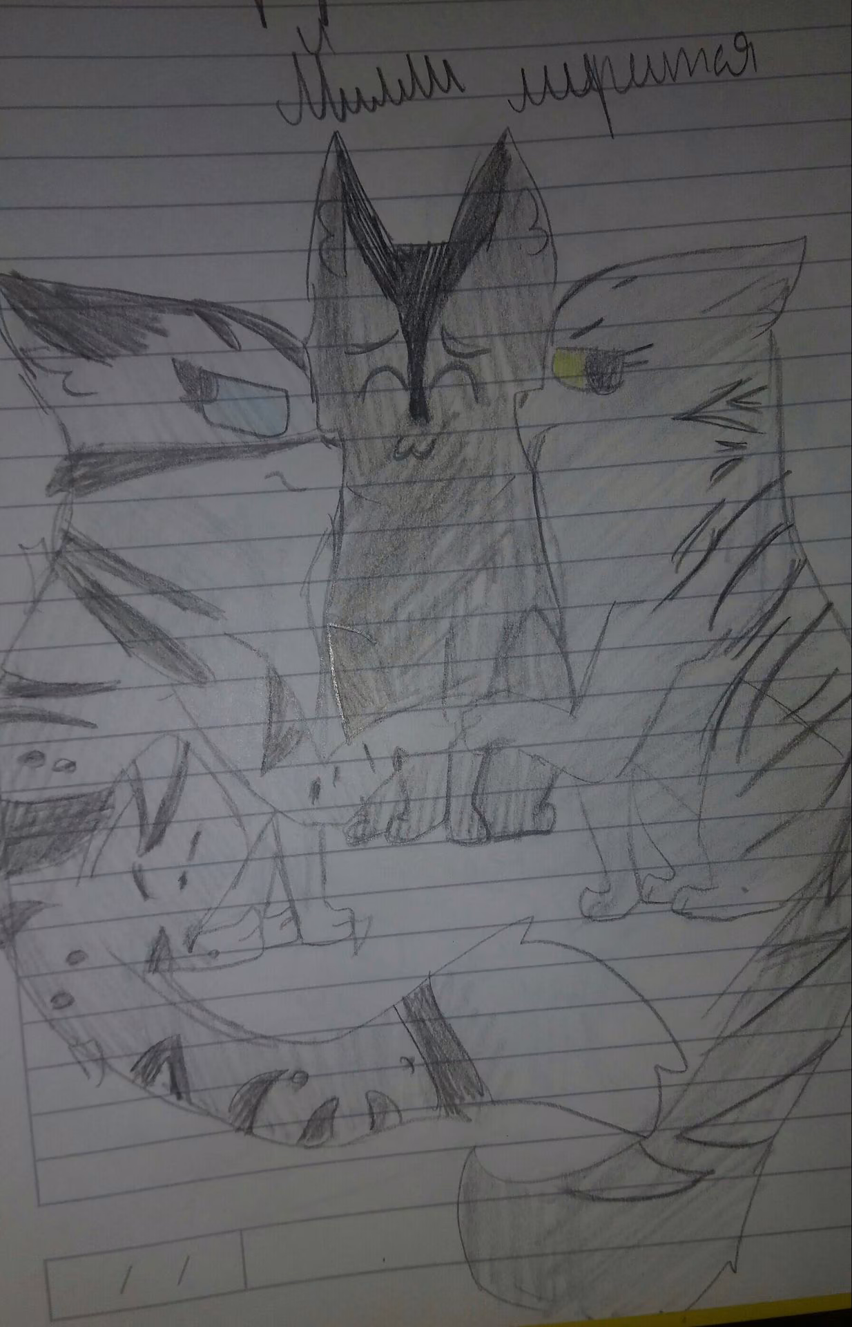 2f18fc5b51c0cca607bc3f4c78baffa0.avif
