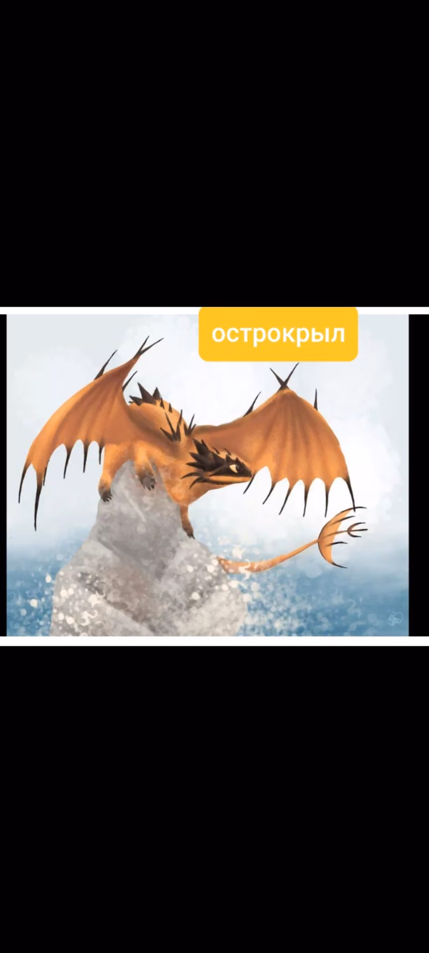 23808a8bf58097fbeb44e89d3741652d.jpg
