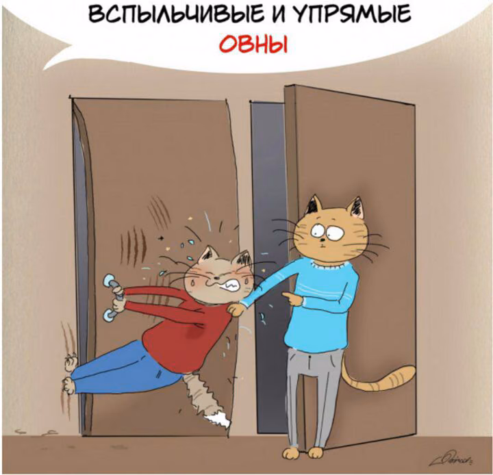 2f1de2475b4c87238ae5f3793356bb10.avif