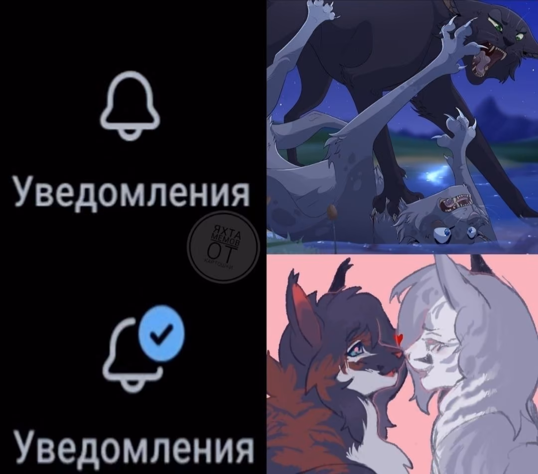 2f23e6fc9b33aa9b34717eec51c92bd1.avif