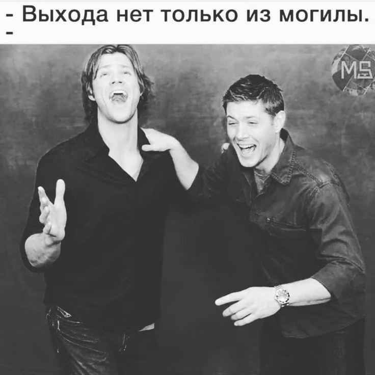 2f294ef6fb8f20e5f00c3ba770578258.avif