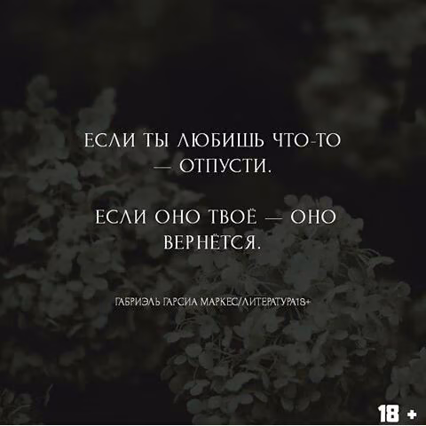 2f296e9aa706e33b01412455ec482d95.jpg